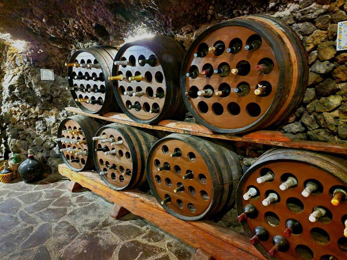 Finca Los Loros Icod De Los Vinos By Hrtenerife Net 산타크루스데 테네리페 외부 사진